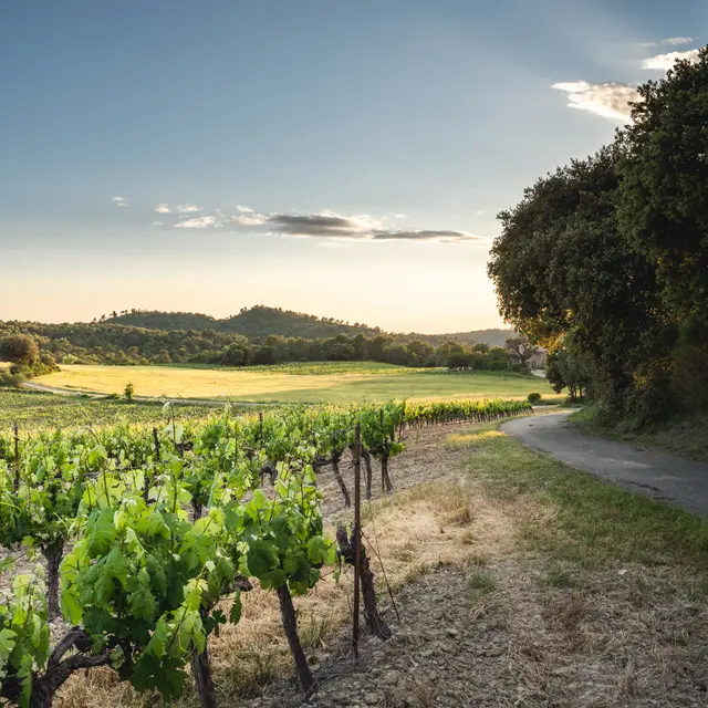 Domaine de Beauvence