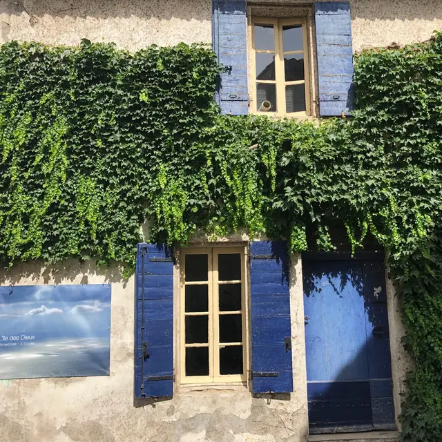 Façade le lac gelé