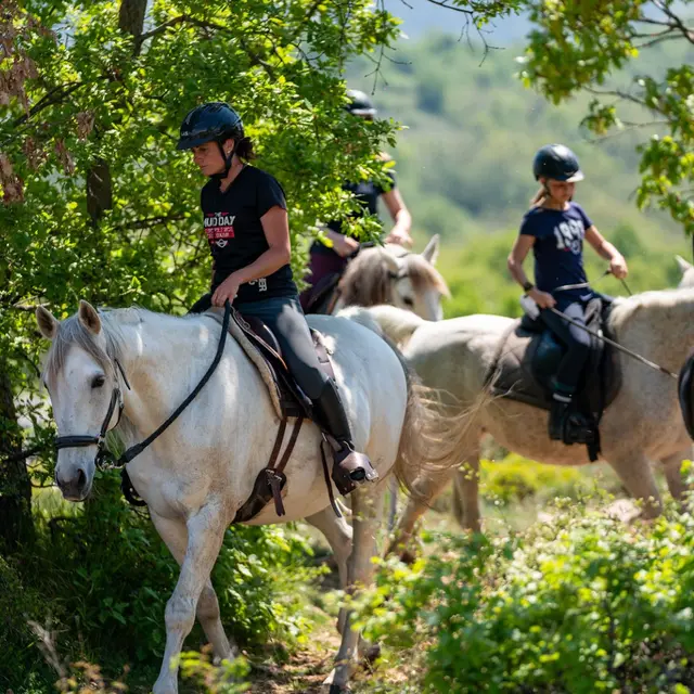 Ranch el Bronco_Coursegoules
