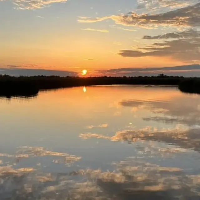 Coucher du soleil dans les marais_Arles
