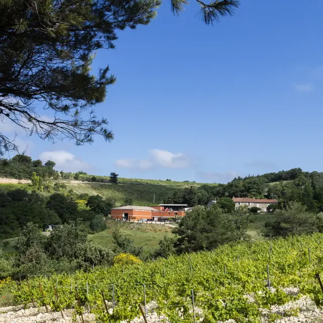 Domaine de Lucena - Visan