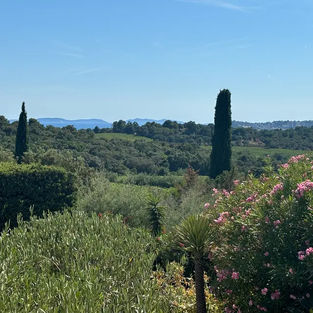 Vue nature