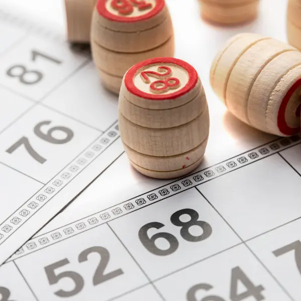 LOTO de l'association ADL_Bormes-les-Mimosas