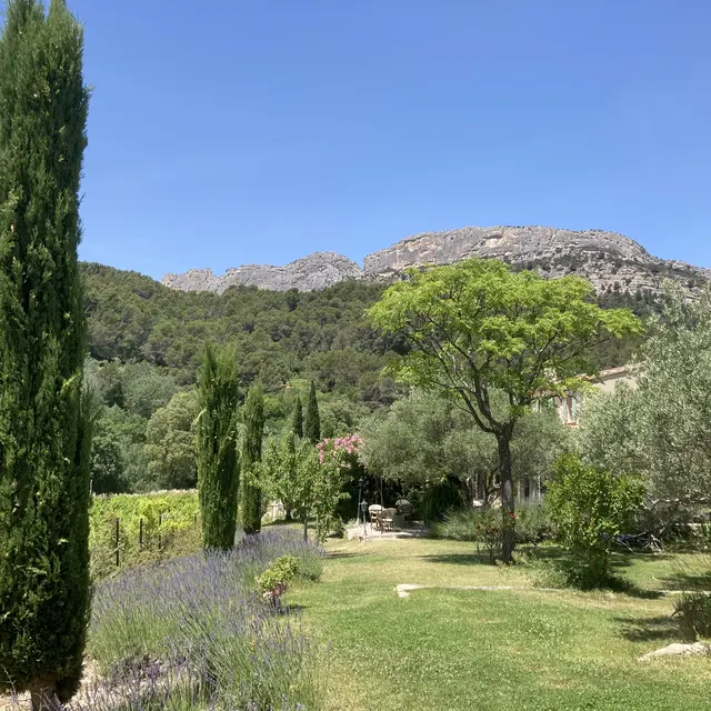 Le jardin avec vue sur les Dentelles de Montmirail