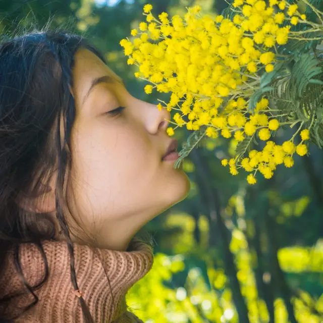 Corso du Mimosa à Cavalaire