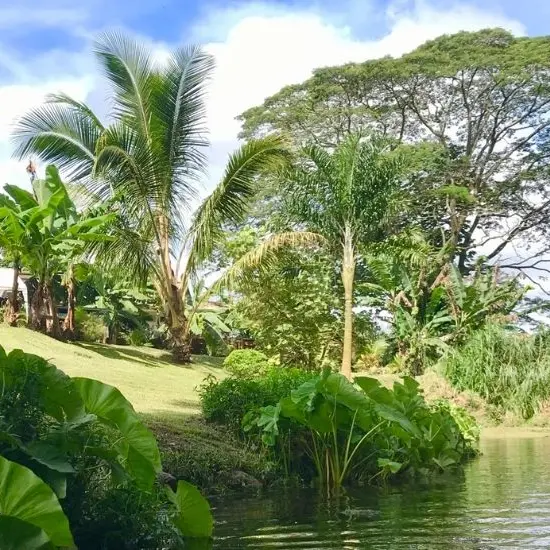 Teanavai Camping Site - Tahiti Tourisme