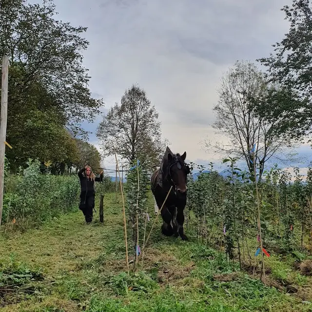 Visite de la pépinière_Saint-Pierre-de-Genebroz