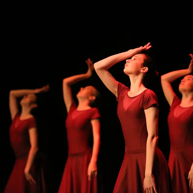 Tuttus, pailettes et silence_Poisy