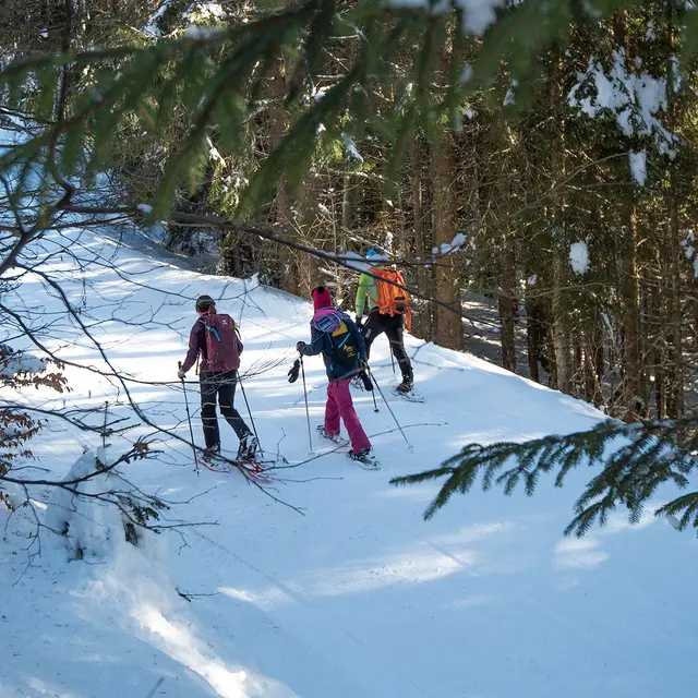 Autour de la forêt de Drouzin