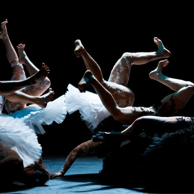 Cirque Chorégraphié : Le Lac des Cygnes_Annemasse