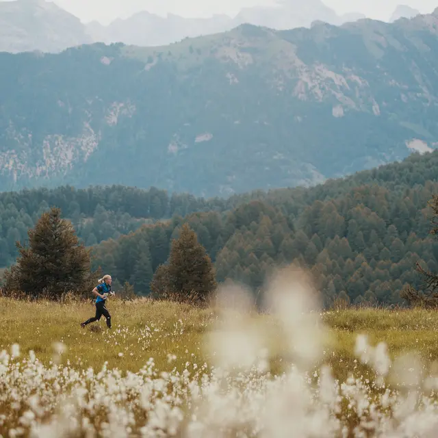 Course d'orientation Risoul 1850