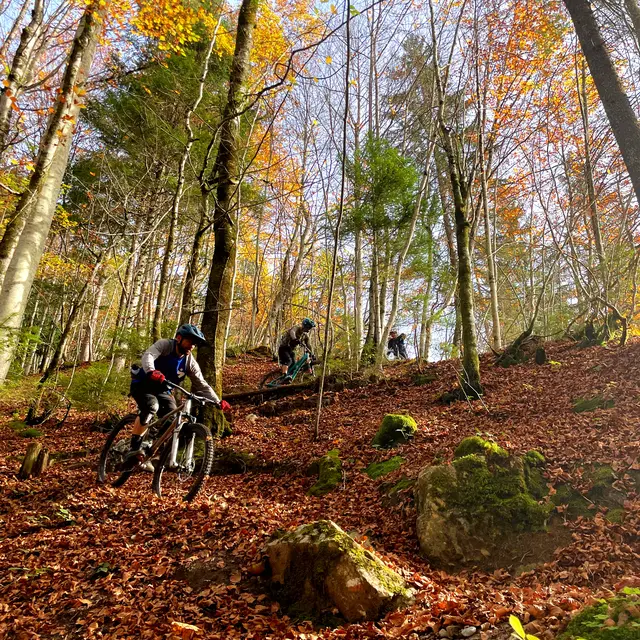 Sortie guidée VTT enduro