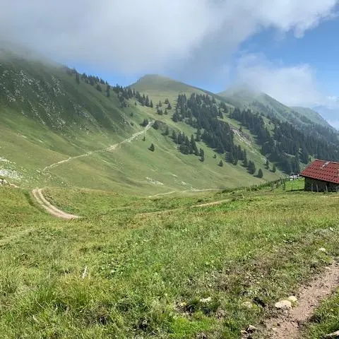 Rndonnée mémorielle au vallon de Novel_Novel