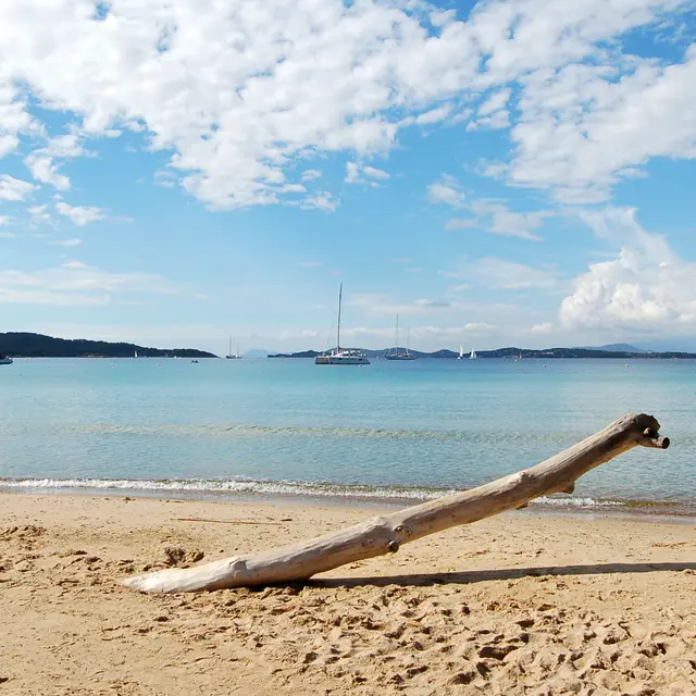 Camping l'le d'Or (Hyres) | Provence-Alpes-Cte d'Azur Tourismus