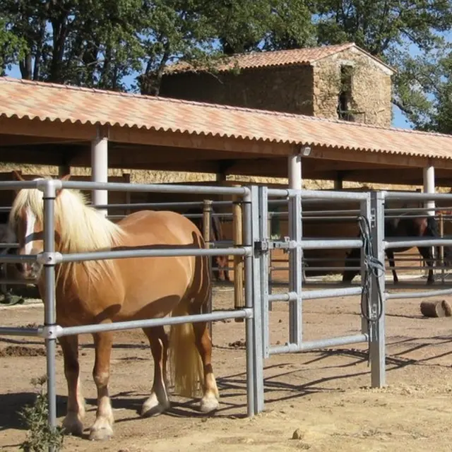 Écurie la Saisonneraie
