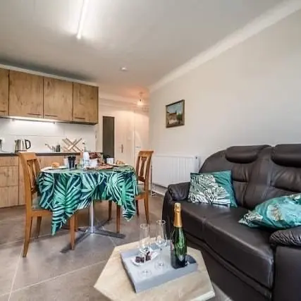 Salon / Cuisine / Salle à manger