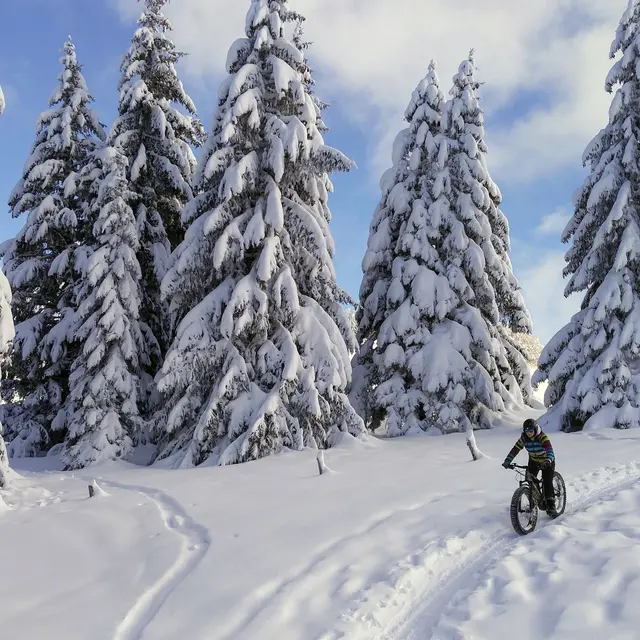 Fatbike