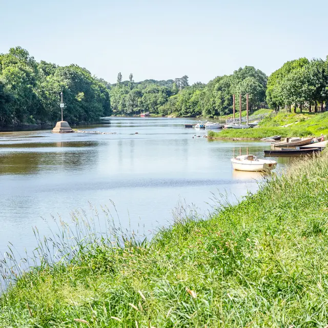 Bords de la Mayenne à Cantenay-Épinard