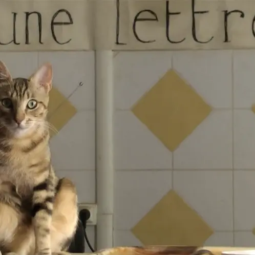 Conférence : Vous avez dit poèmes? (D’ici et de là-bas)_Oraison