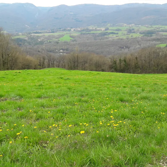 Plateau agricole