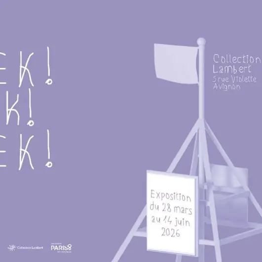 PEEK ! Peek ! PEEK !_Avignon