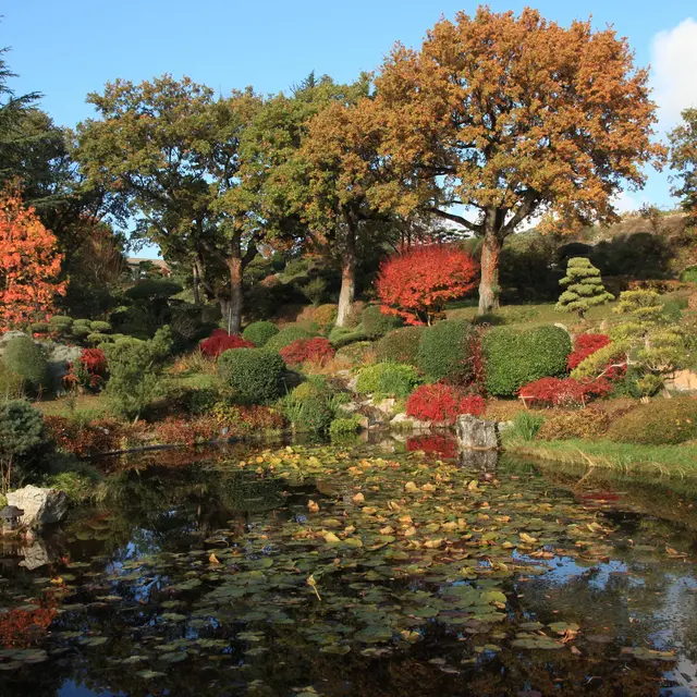 Jardin Zen E. Borja