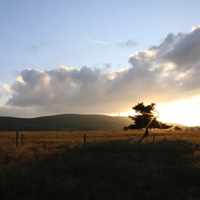 Atelier photo au crépuscule_Sauvain