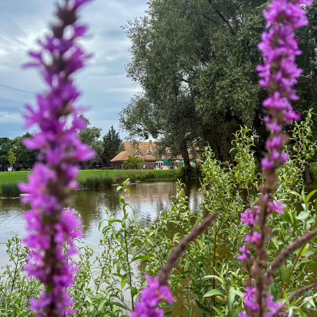 Journées Portes Ouvertes au Golf de l'Île Fleurie_Carrières-sur-Seine