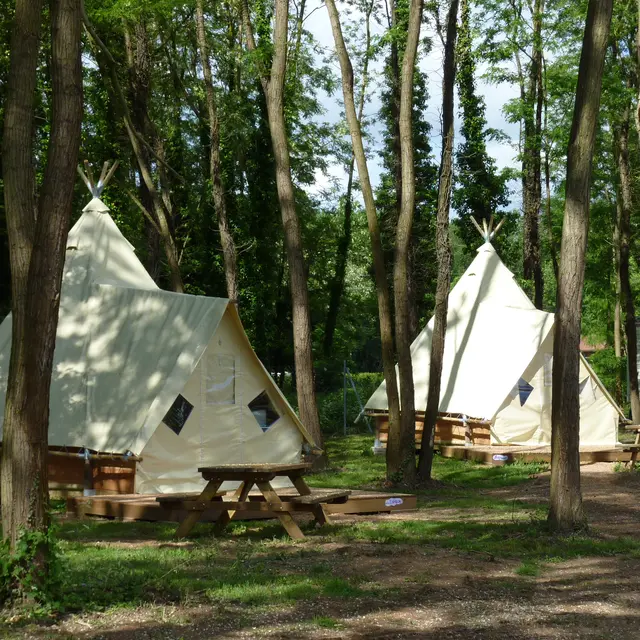 Tipis