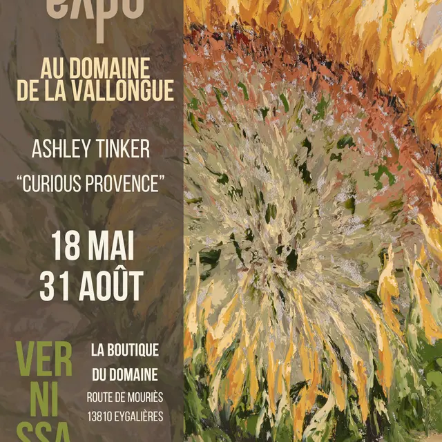 Affiche La Vallongue