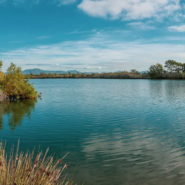 Etangs de Villepey