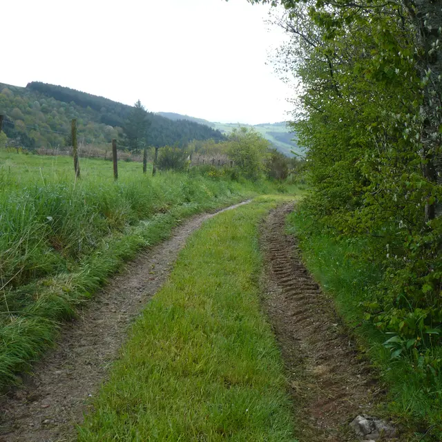 Chemin de Gouttelion à Crezoilles