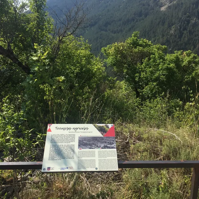 Terrasses agricoles
