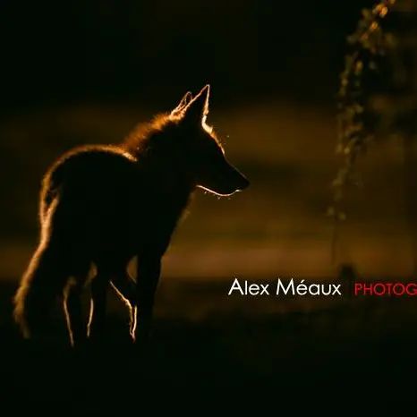 Randonnée Photo journée_Montclar