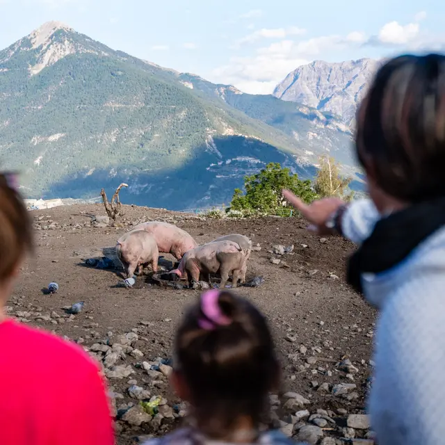La ferme de Pralong, au dessus de Briançon