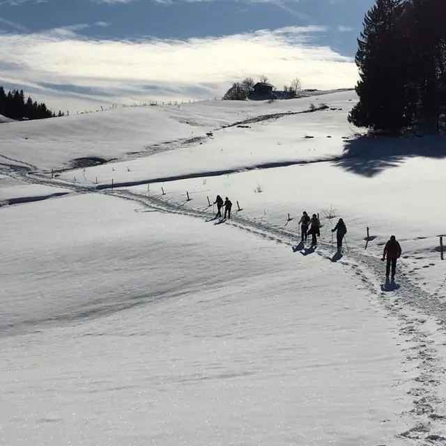 Plaine Joux