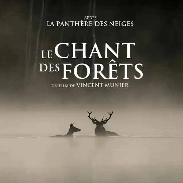 EVE-Séance de cinéma -Le Chant des forêts_La Chaise-Dieu-Affiche