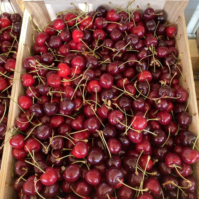 Earl Le Clouvet_Malemort-du-Comtat