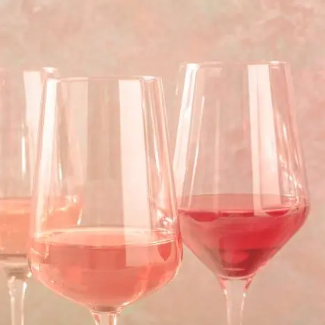 Atelier École des Vins  - Palette des rosés et tapas_Avignon