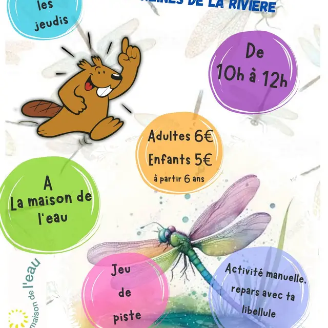Sortie nature - Libellule et demoiselles, les reines de la rivière_Les Plantiers