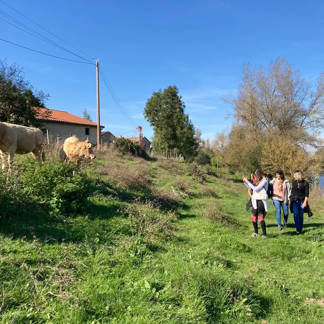 Marche au profit du Téléthon_Feurs
