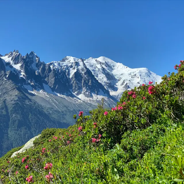 Aiguillette d'Argentière