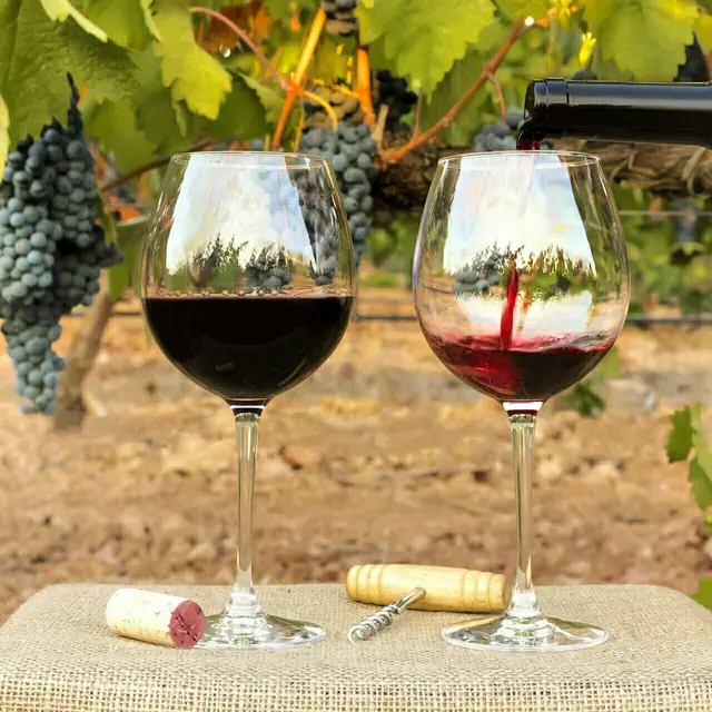 Fête des vins IGP