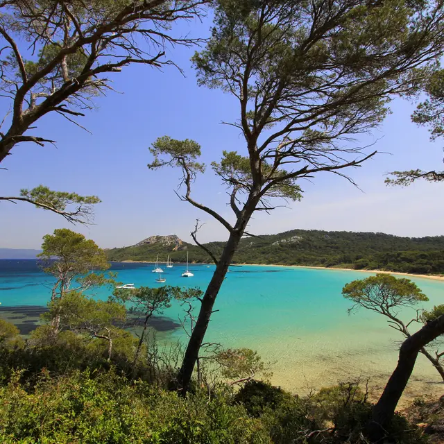 La plage Notre Dame - ile de porquerolles - hyeres
