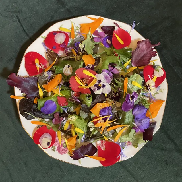 Antik’fêtes Ô musée - Éclosion printanière : Des fleurs à croquer, des plantes à savourer_Lezoux