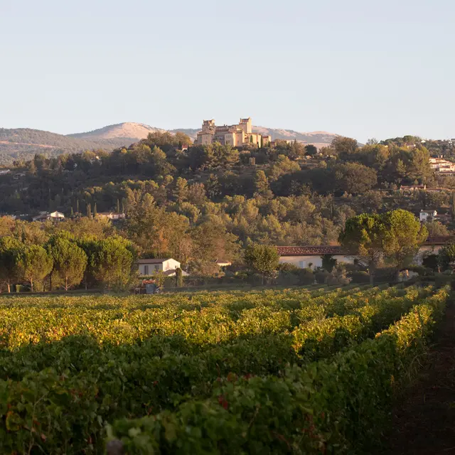 Domaine Grande Bastide