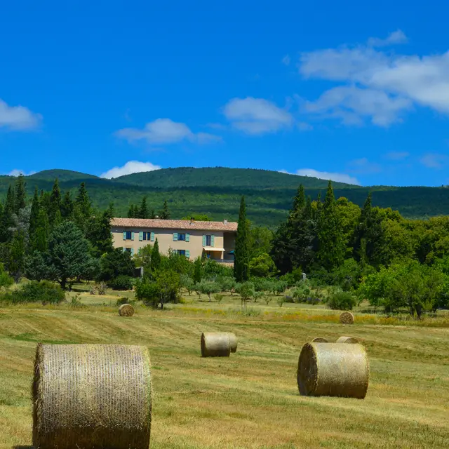 Bastide du Claus 2020 au pied de la montagne de Lure 2.jpg