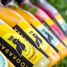 Kookabarra_Cavaillon