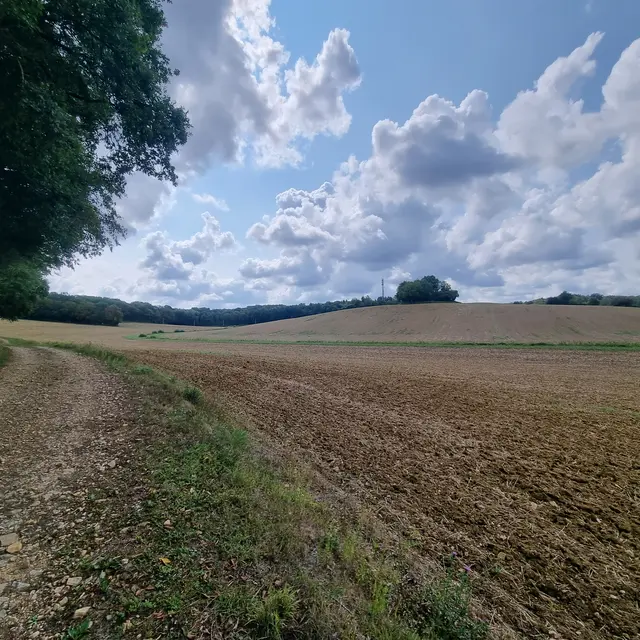 Villemotier - Poype de la Griffonnière