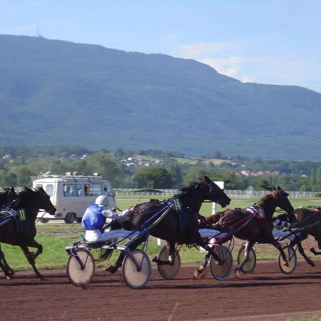 Course de trot sur l'hippodrome de Divonne